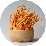 Cordyceps čínský