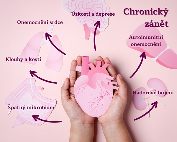 chronický zánět